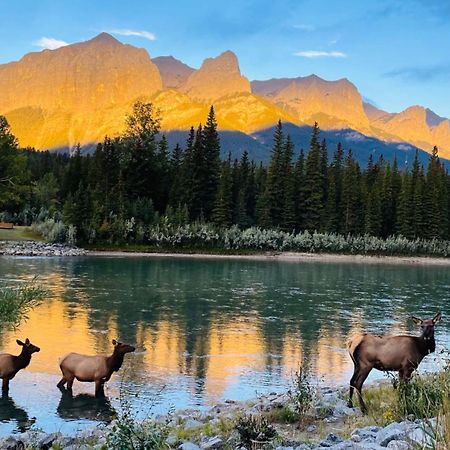 #304 Mountain View 1Br In Canmore Dt Екстер'єр фото